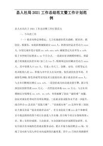 县人社局工作总结范文暨工作计划范例