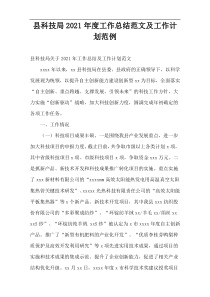 县科技局年度工作总结范文及工作计划范例