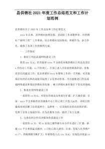 县供销社年度工作总结范文和工作计划范例