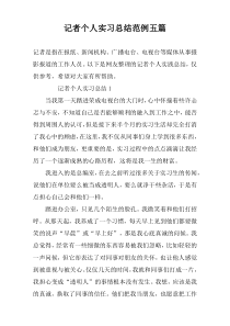 记者个人实习总结范例五篇