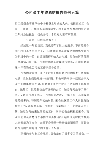 公司员工年终总结报告范例五篇