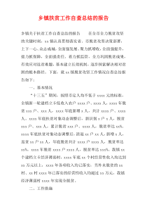 乡镇扶贫工作自查总结的报告