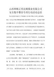 安全集中整治专项行动活动总结