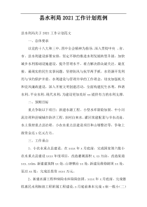 县水利局2021工作计划范例