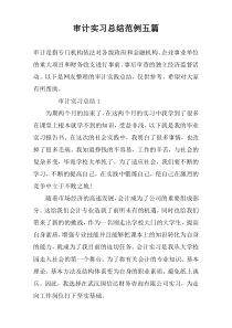 审计实习总结范例五篇