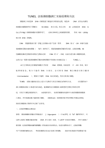 TUNEL法检测细胞凋亡实验原理和方法