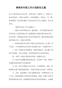 销售员年度工作计划报告五篇