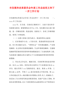 市发展和改革委员会年度工作总结范文和下一步工作计划