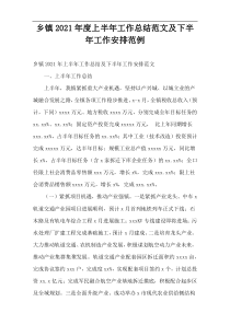 乡镇2021年度上半年工作总结范文及下半年工作安排范例