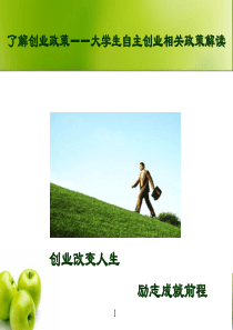 5第五章创业政策
