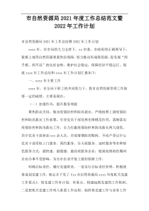 市自然资源局2021年度工作总结范文暨2022年工作计划
