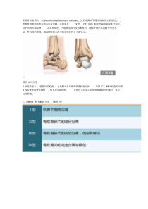 距骨骨软骨损伤的分型图解