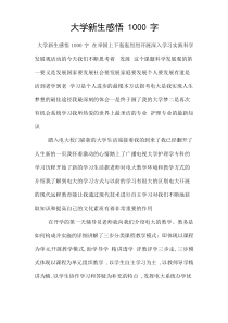 大学新生感悟1000字