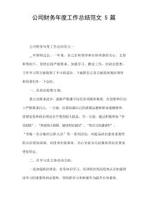 公司财务年度工作总结范文[5篇]