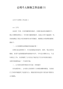 公司个人财务工作总结(1)