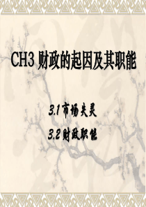 CH3 财政的起因及其职能