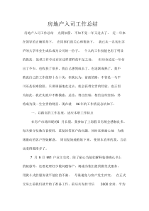 房地产入司工作总结