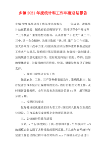乡镇2021年度统计科工作年度总结报告