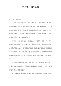工作计划和展望