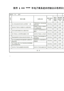 电子商务进农村八大项目(1)