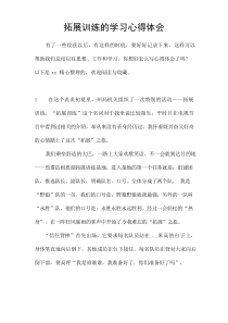 拓展训练的学习心得体会