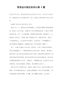 财务会计综合实训心得5篇
