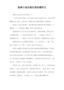 经典小说白夜行读后感作文
