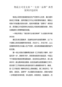 物流公司党支部“一支部一品牌”典型案例评选材料