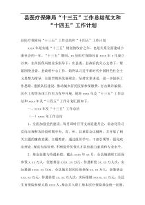县医疗保障局“十三五”工作总结范文和“十四五”工作计划