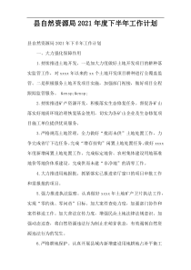 县自然资源局2021年度下半年工作计划