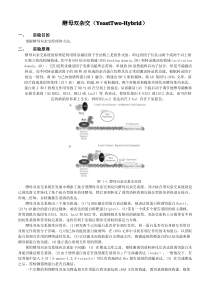酵母双杂交实验 教案