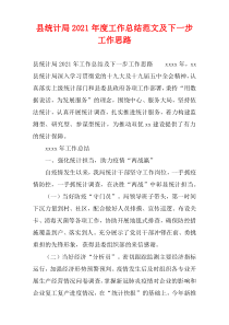 县统计局2021年度工作总结范文及下一步工作思路
