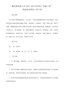学校青蓝工程结对实施计划