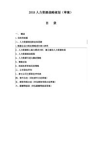 2018人力资源战略规划