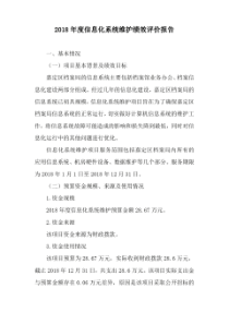 2018信息化系统维护绩效评价报告.pdf