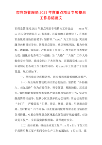 市应急管理局2021年度重点项目专项整治工作总结范文