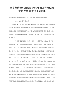 市自然资源和规划局2021年度工作总结范文和2022年工作计划思路