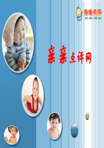 亲亲点评网创业策划书