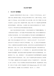 HAZOP分析关键技术专业资料