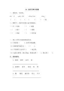 14.达尔文和小松鼠