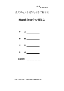 LTE实训总结报告专业资料