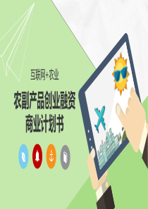 农副产品创业融资模板