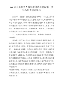 主要负责人履行推进法治建设第一责任人职责述法报告