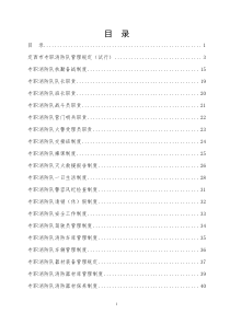 专职队职责制度