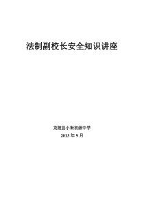 法制副校长安全知识讲座