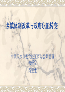 乡镇体制改革与政府职能转换
