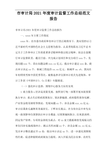市审计局2021年度审计监督工作总结范文报告