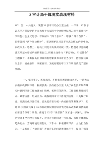 X审计局干部现实表现材料