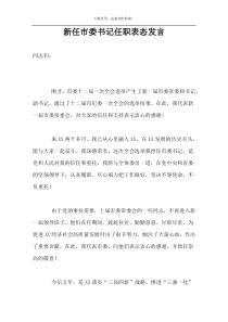 新任市委书记任职表态发言