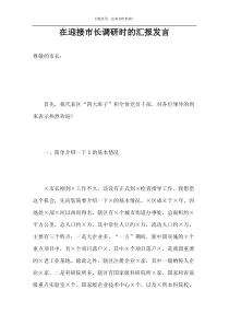 在迎接市长调研时的汇报发言
